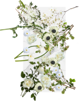 white with anenome flower