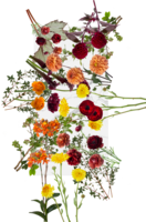 fall color reference