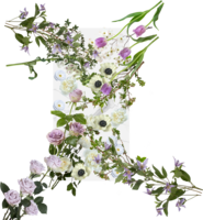 light lavender, white with anenome flower