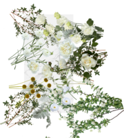 Textured White Winter Palette