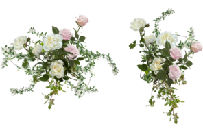 blush and white sections