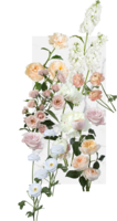 blush and peach color palette