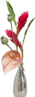 testpaul5