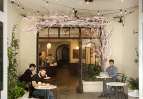 Stumptown Brooklyn Location