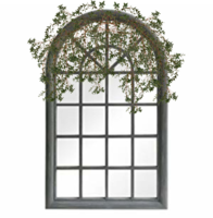 window smilax