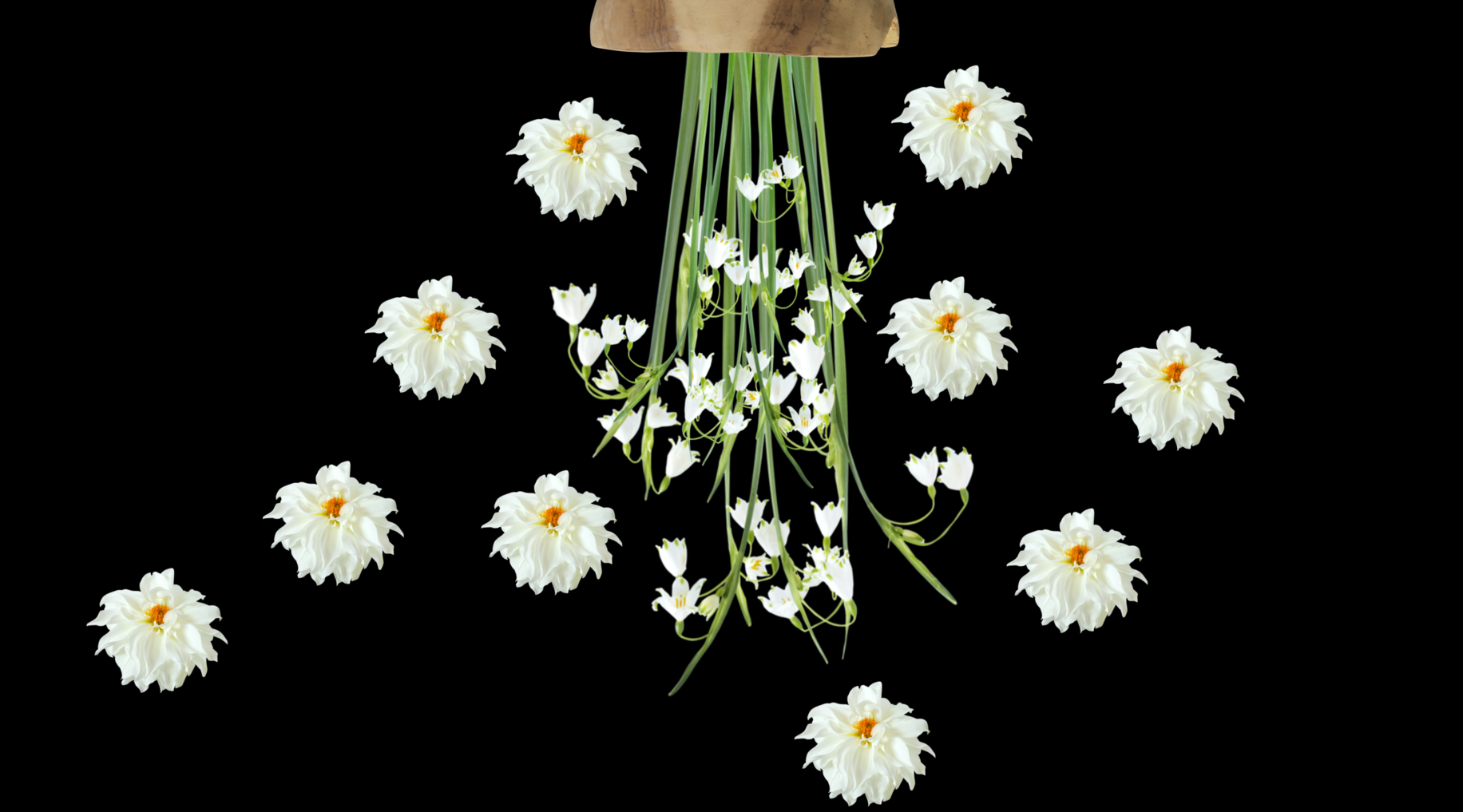 First Snow Putnam Flower Channel