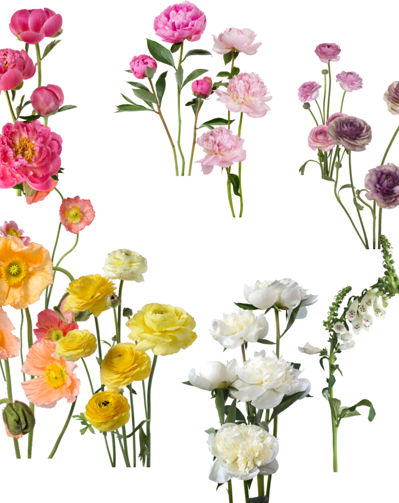 Fffmix Putnam Flower Channel