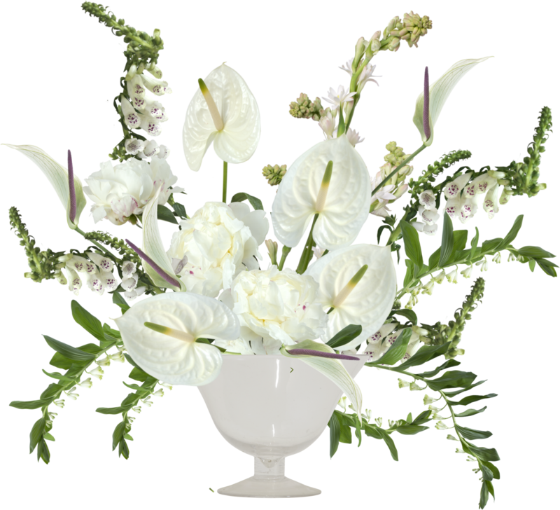 Anthurium Whites | Putnam Flower Channel