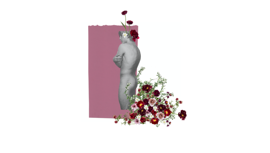 Flowerboys 4