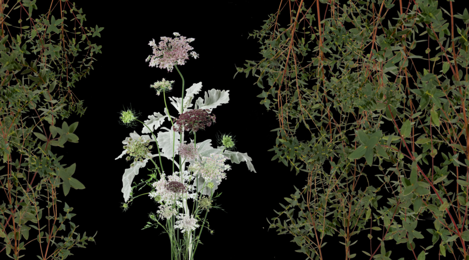 Flortina One