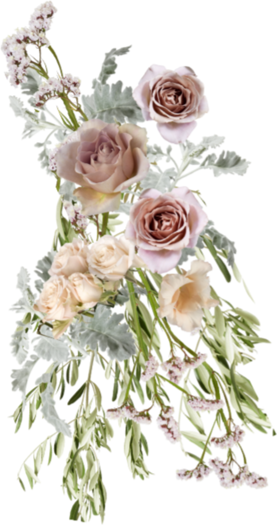 Peach_Coral_Pink_Flower Part 1