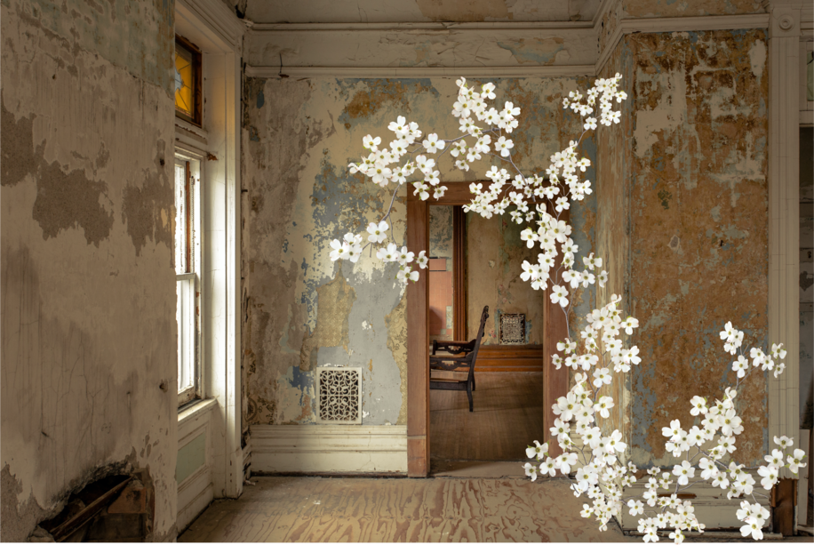 dogwood install inspiration