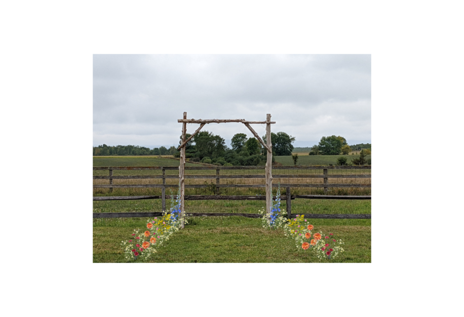 Emily Aisle Runners