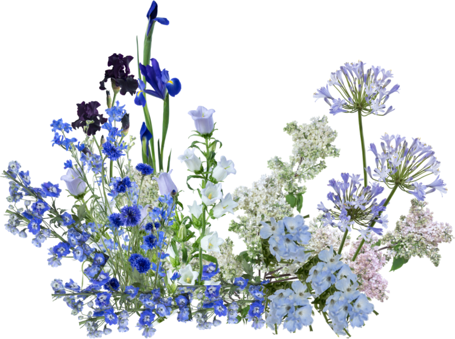 Blue Floor Arrangement v3