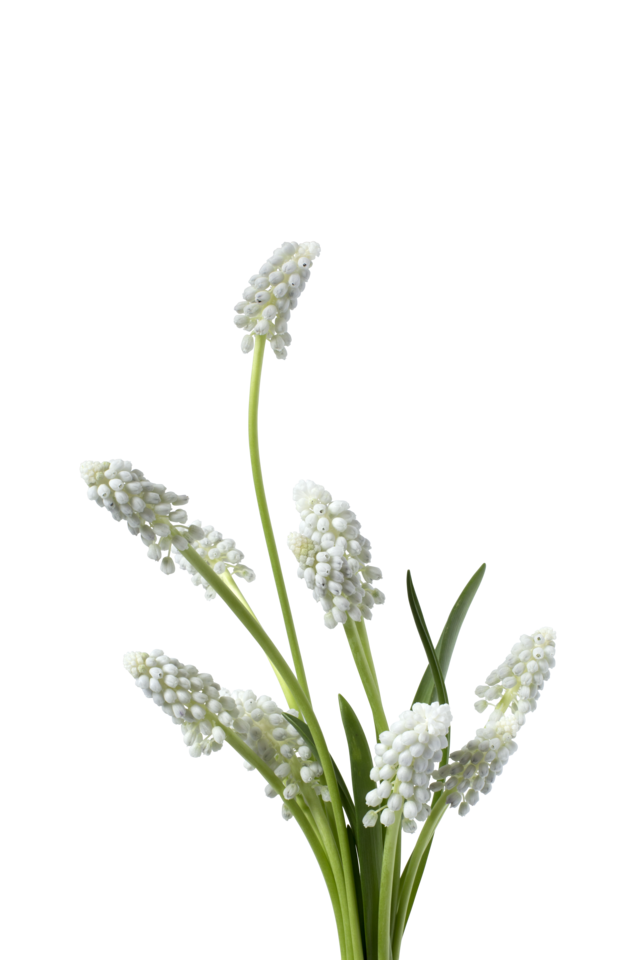 Studio Putnam Flower Channel