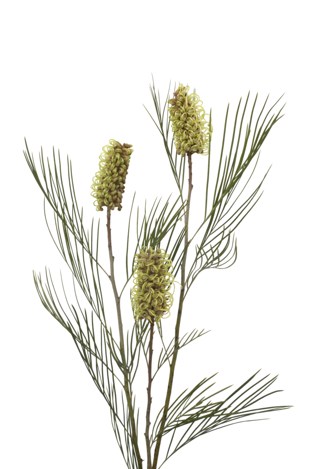 Studio Putnam Flower Channel