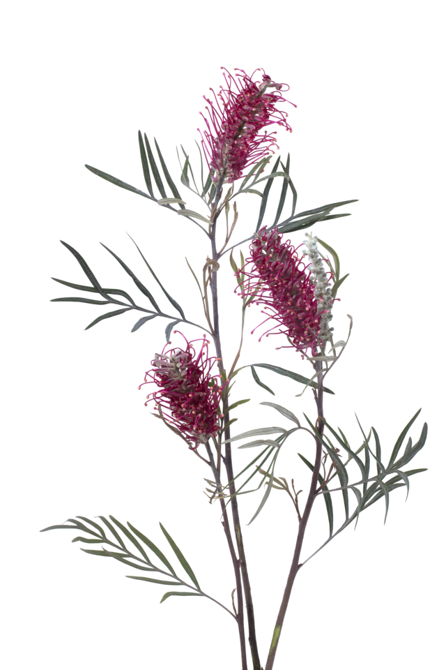 Studio Putnam Flower Channel