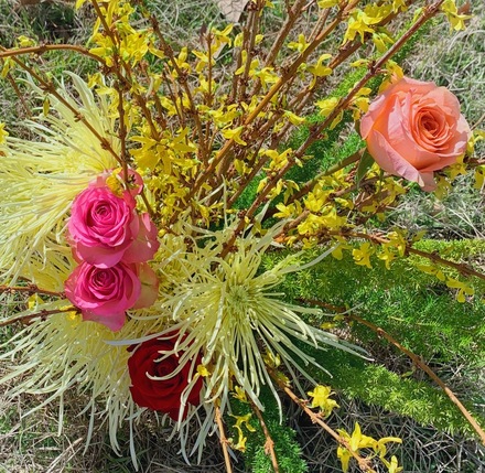 Forsythia arrangements