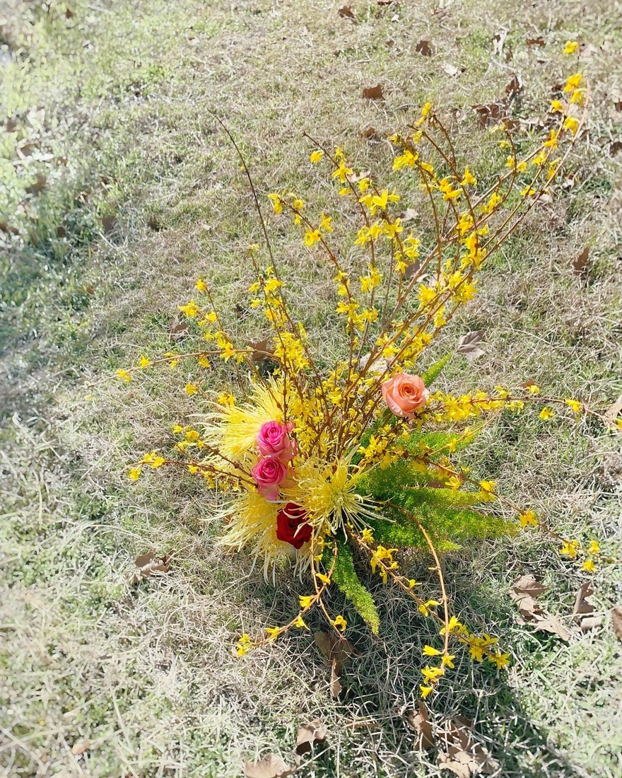 Forsythia arrangements
