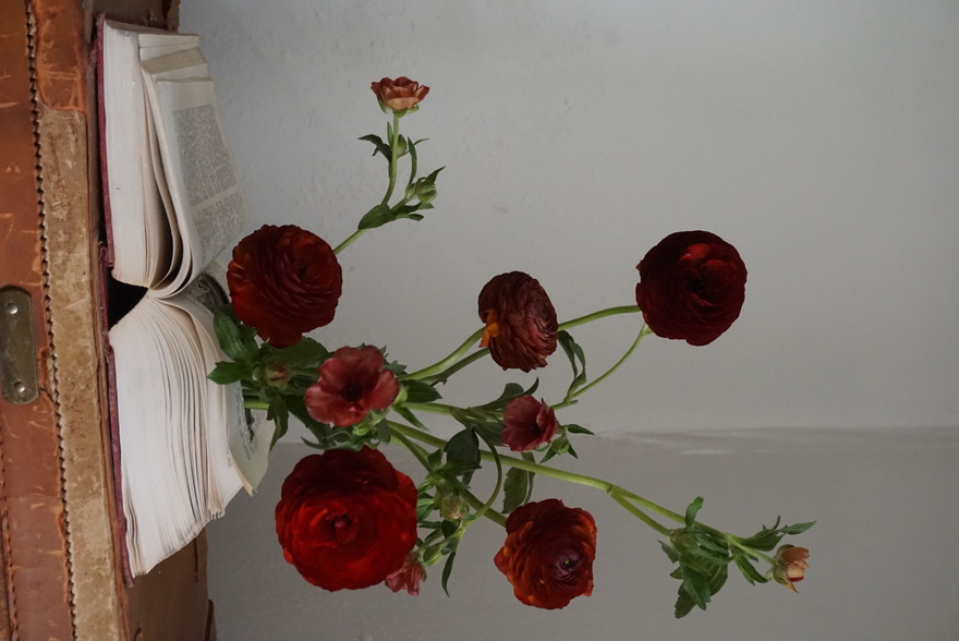 books + blooms